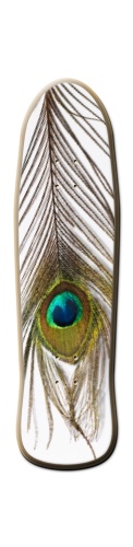 Design 317400 Skateboards, Longboards and Grip Tape Image