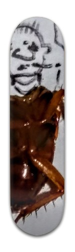 Design 318332 Skateboards, Longboards and Grip Tape