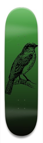 bird