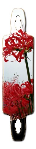 Design 319275 Skateboards, Longboards and Grip Tape