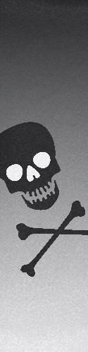 Arctic Skull