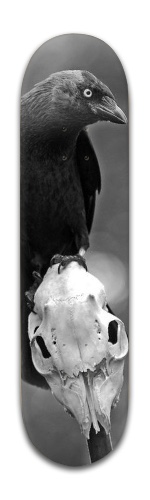 Design 320058 Skateboards, Longboards and Grip Tape