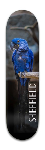 Design 321232