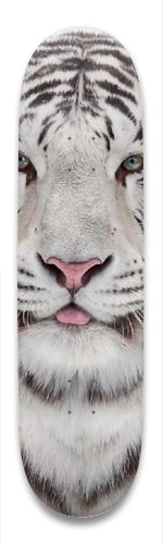 Design 321763 Skateboards, Longboards and Grip Tape