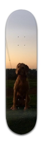 Design 322774 Skateboards, Longboards and Grip Tape Image