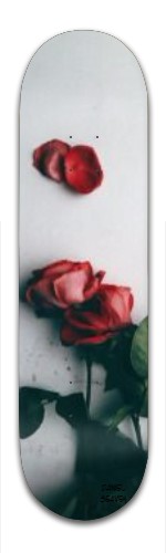 Design 325205