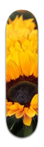 Design 325369