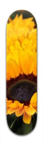 Design 325370 Skateboards, Longboards and Grip Tape
