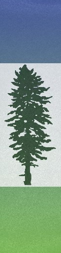 Design 325387 Skateboards, Longboards and Grip Tape
