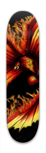 Design 326007 Skateboards, Longboards and Grip Tape