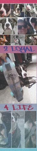 Design 327895 Skateboards, Longboards and Grip Tape