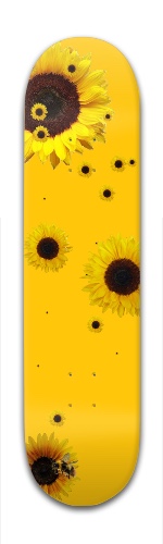 SUNFLOWER BOY 2