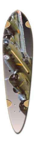 B-17