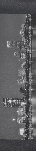 Boston Skyline