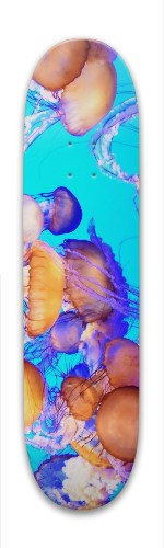 Design 335560