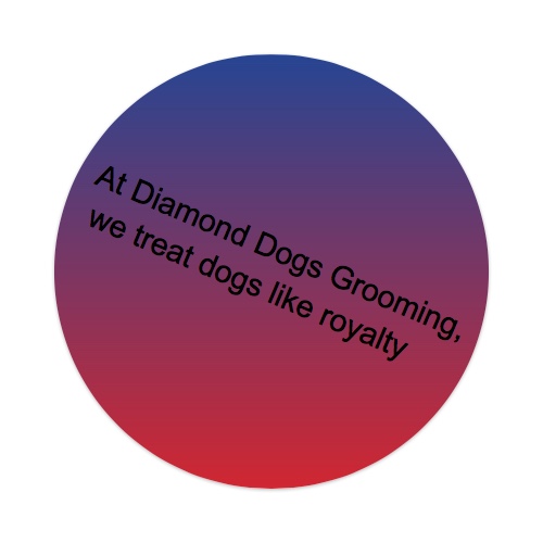 Design 336285 Skateboards, Longboards and Grip Tape Image