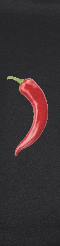 Design 337501 Skateboards, Longboards and Grip Tape