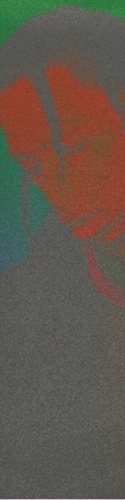 Design 338197 Skateboards, Longboards and Grip Tape