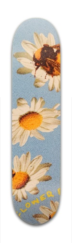 Design 340570