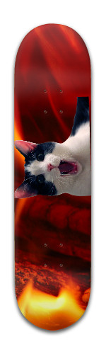 Design 343281 Skateboards, Longboards and Grip Tape