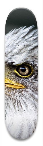 Design 343292 Skateboards, Longboards and Grip Tape Image