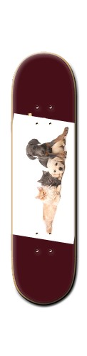 Design 343611 Skateboards, Longboards and Grip Tape