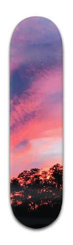 Design 343633 Skateboards, Longboards and Grip Tape