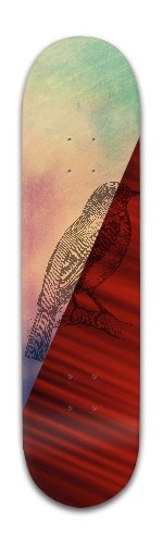 Design 344193 Skateboards, Longboards and Grip Tape Image