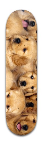 Design 344513 Skateboards, Longboards and Grip Tape