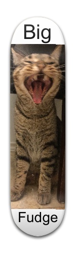 Design 344732 Skateboards, Longboards and Grip Tape Image