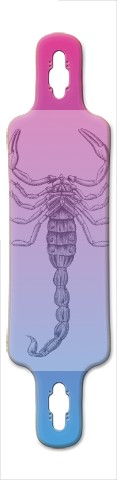 Design 344961 Skateboards, Longboards and Grip Tape