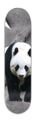 Design 346357 Skateboards, Longboards and Grip Tape Image