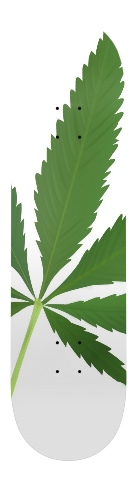 Design 35108 Skateboards, Longboards and Grip Tape Image