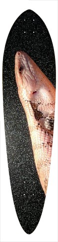Design 351736 Skateboards, Longboards and Grip Tape