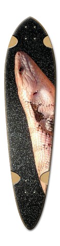 Design 351737 Skateboards, Longboards and Grip Tape
