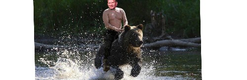 Design 353246 Skateboards, Longboards and Grip Tape Image