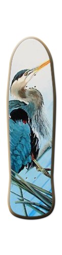Design 353821 Skateboards, Longboards and Grip Tape