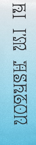 Design 354503 Skateboards, Longboards and Grip Tape