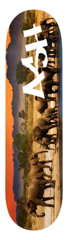 Design 35527