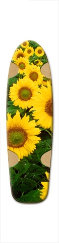 Design 356569 Skateboards, Longboards and Grip Tape