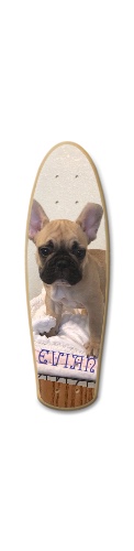 Design 357270 Skateboards, Longboards and Grip Tape