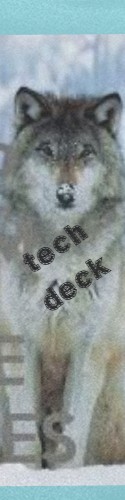 Design 360936 Skateboards, Longboards and Grip Tape