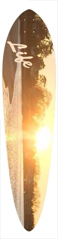 Design 361443 Skateboards, Longboards and Grip Tape Image