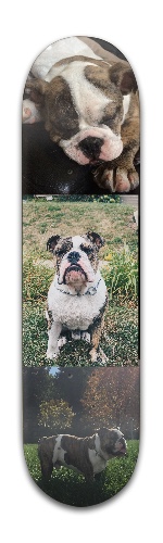 Arlo