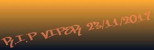 Design 362778 Skateboards, Longboards and Grip Tape
