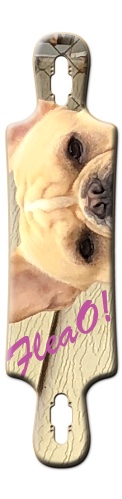 Design 362965 Skateboards, Longboards and Grip Tape