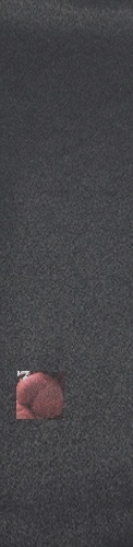 Design 363003 Skateboards, Longboards and Grip Tape