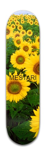 Design 363366 Skateboards, Longboards and Grip Tape Image