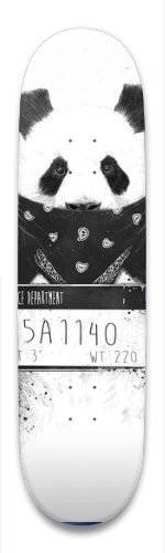 Design 369138 Skateboards, Longboards and Grip Tape Image
