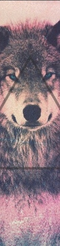 Design 370564 Skateboards, Longboards and Grip Tape